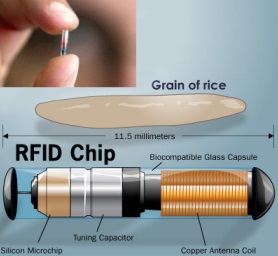 rfid-chip-2